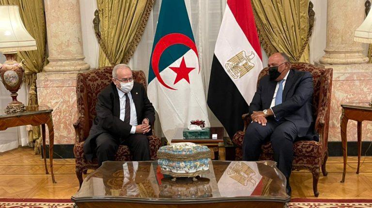 Egypt and Algeria push for Closer Military Ties