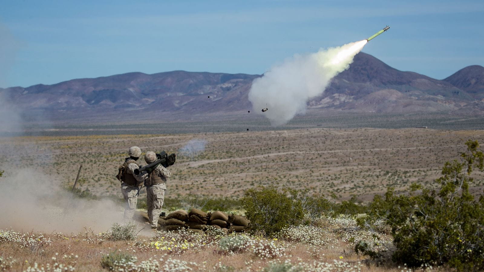 Raytheon and Diehl Defence to Co-produce Stinger Missiles