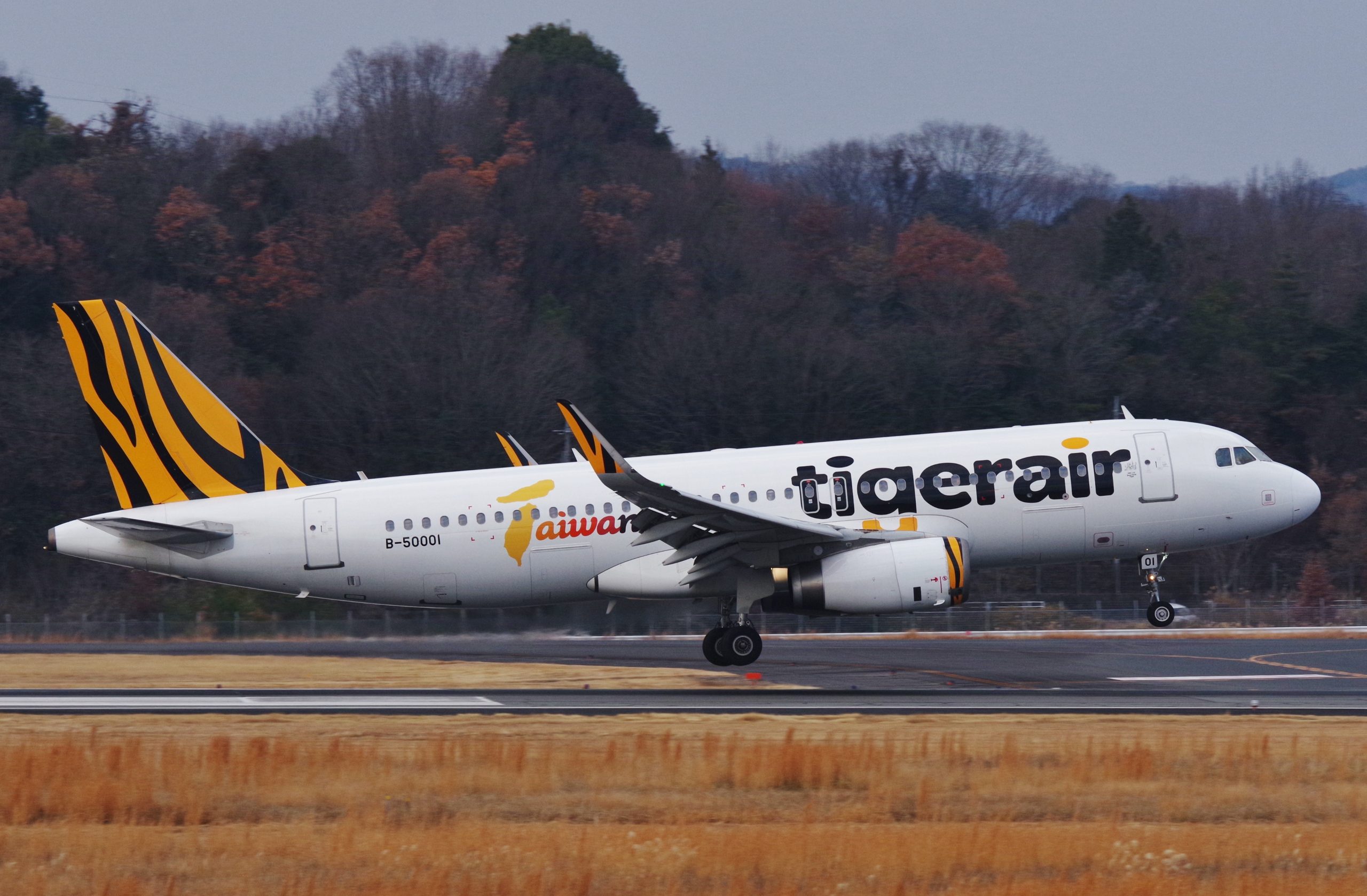 Tigerair Taiwan Scales for Regional Dominance with Major A321neo Acquisition